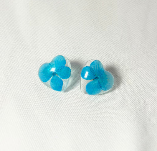 THE BINI studs