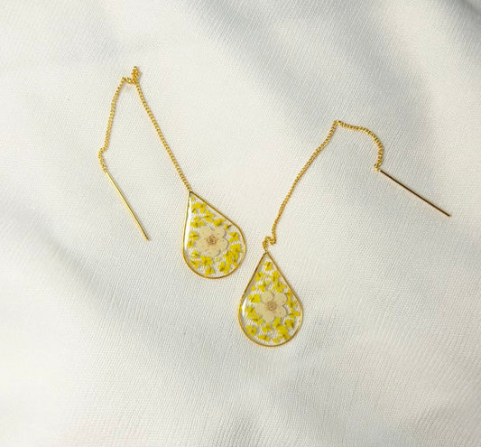 THE AHANA sui shaaga