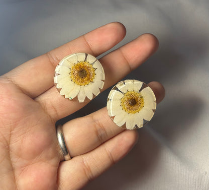 THE PHOOL studs